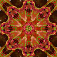 Hypervisuelle Kaleidoklasten