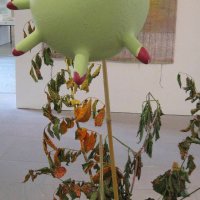 2010 kulmbach plassenburg