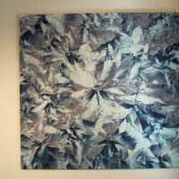 Transvisuelle Ortogenese